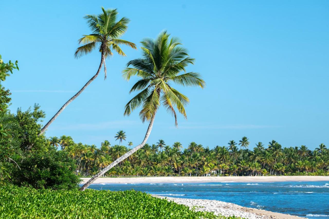 Colibri Beach Villas Velha Boipeba Zewnętrze zdjęcie
